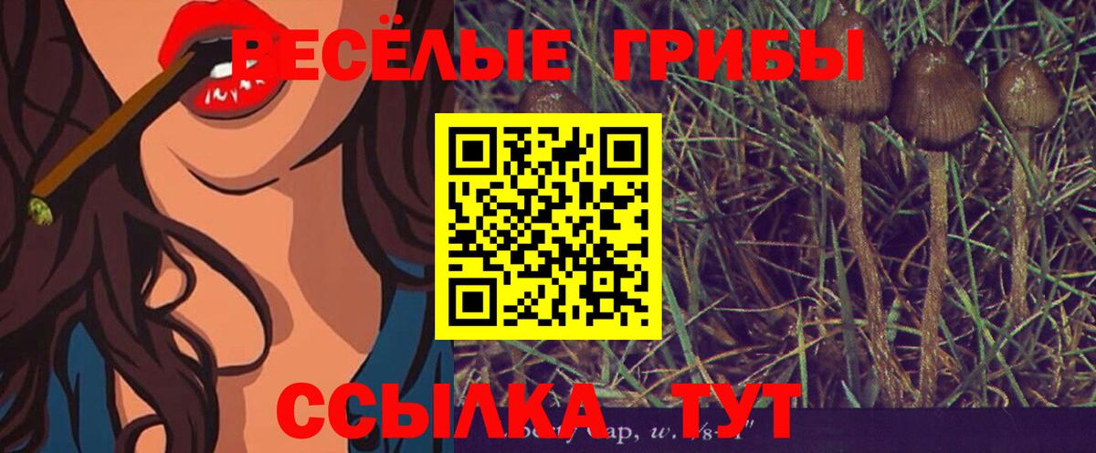 Новочебоксарск  Галлюциногенные грибы GOLDEN TEACHER  Вход с VPN  как найти закладки  Псилоцибиновые грибы ЛСД 